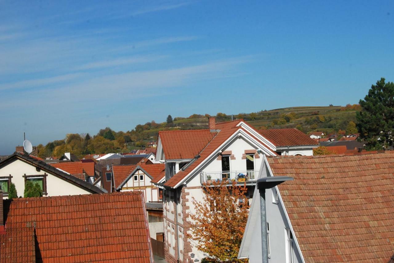 Luxus Loft Ideal Europa Park, Strassburg Und Schwarzwald Daire Friesenheim  Dış mekan fotoğraf